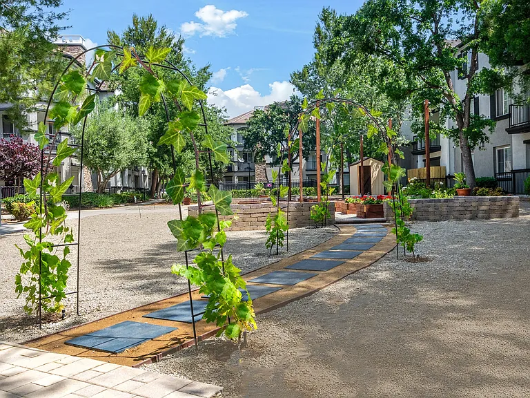 Community Gardening Area with Curved Walkway Surrounded by Garden Beds