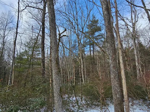 Lot 24 Brook Drive, Narrowsburg, NY 12764