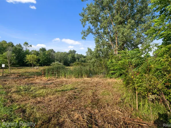 0 West St, Leonard, MI 48367