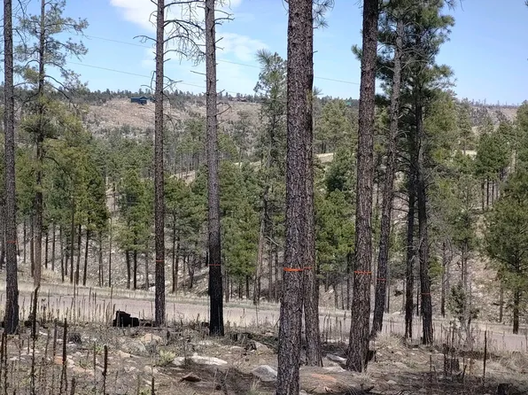 1023 Moqui Dr, Happy Jack, AZ 86024