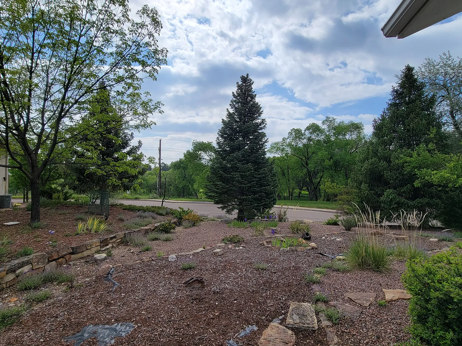 3 bed, 1772 sqft, $3,200 — Photo 4
