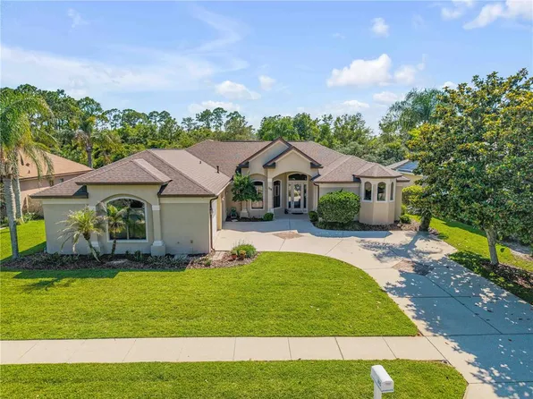 315 Eagles Eye Ct, New Smyrna Beach, FL 32168