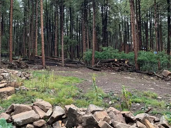 405 Buckhorn Road, Bayfield, CO 81122