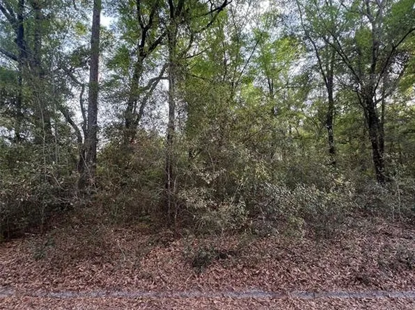 SW 150th St, Dunnellon, FL 34432
