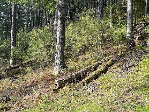 Sloped topography>