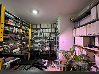 Rented by Mauro Bros Real Estate Services LLC