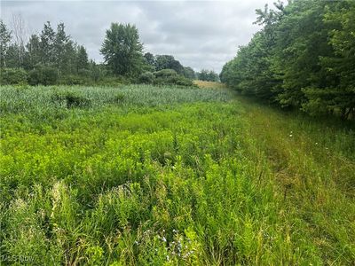 5913 Stuckey Rd, Creston, OH, 44217