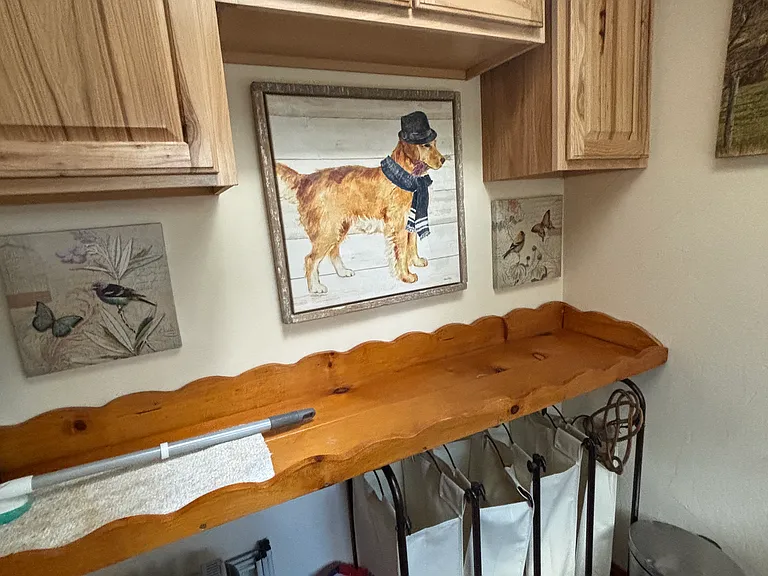 Laundry room storage