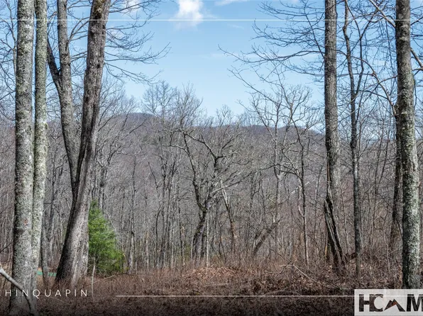 Lot 63 New Settler's Way, Glenville, NC 28736
