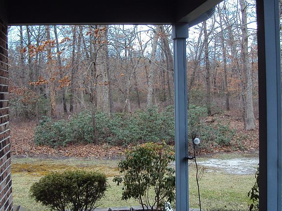 4th image of 529 Petunia Lane N