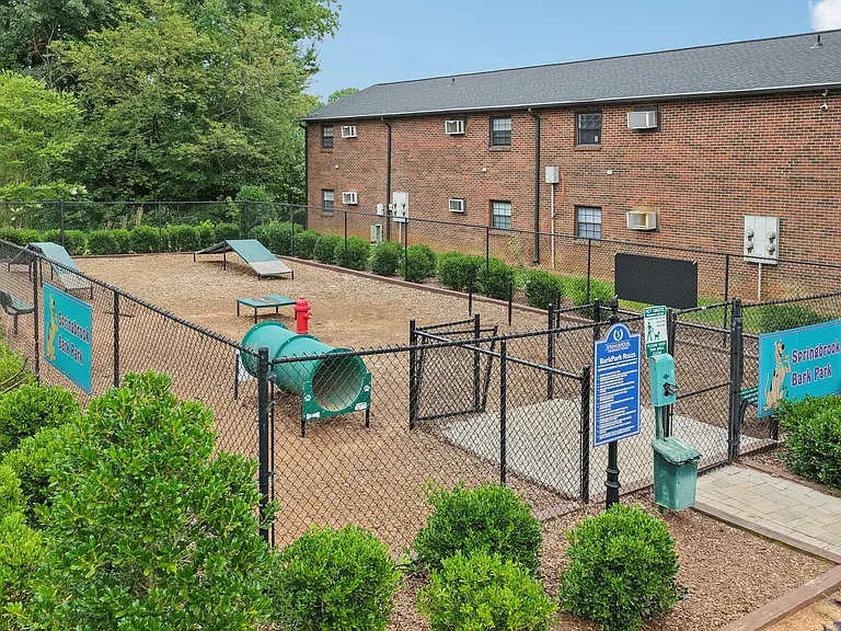 Dog Park