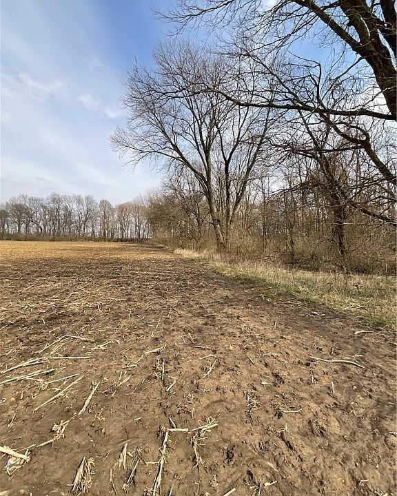 1500 East Rd, Ridge Farm, IL 61870 MLS 6226706 Zillow