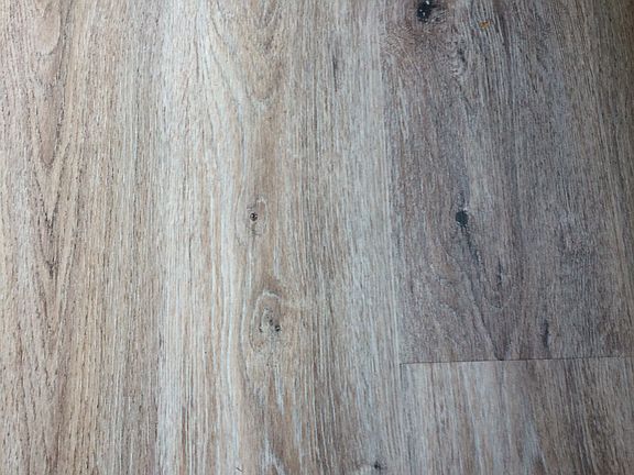 Pet-Proof Zero-Carpet Floor 