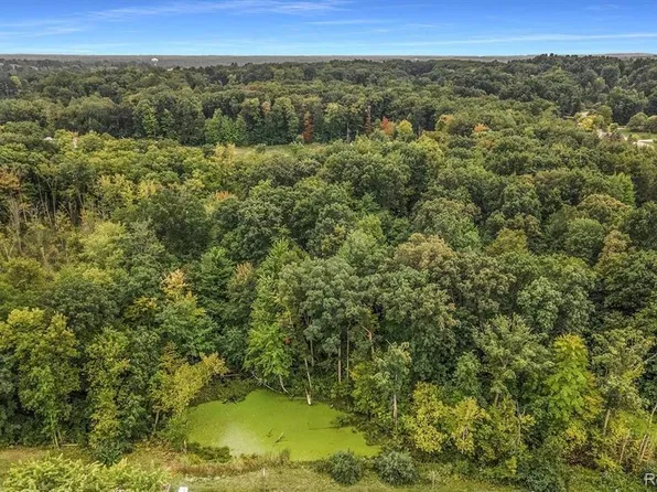 0 Clarkston Rd, Independence Twp, MI 48348