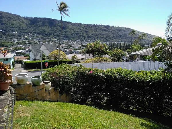 Fenced yard & view.