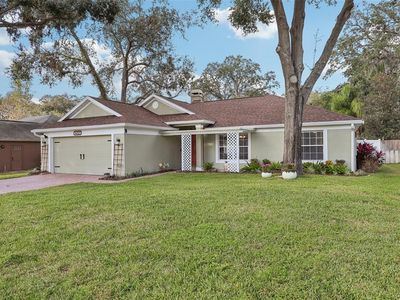 34321 Shadewood Cir, Leesburg, FL, 34788