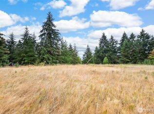 0 Case Road SW, Rochester, WA 98579