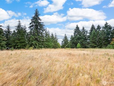 0 Case Road SW, Rochester, WA, 98579