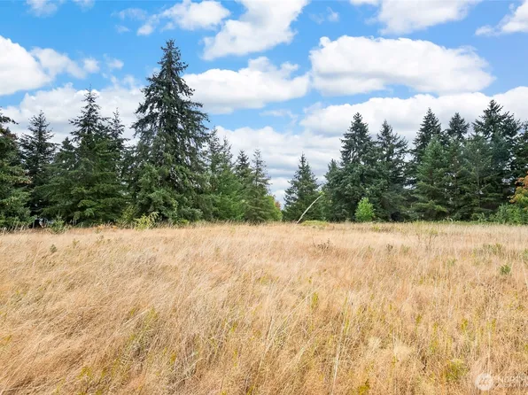 0 Case Road SW, Rochester, WA 98579