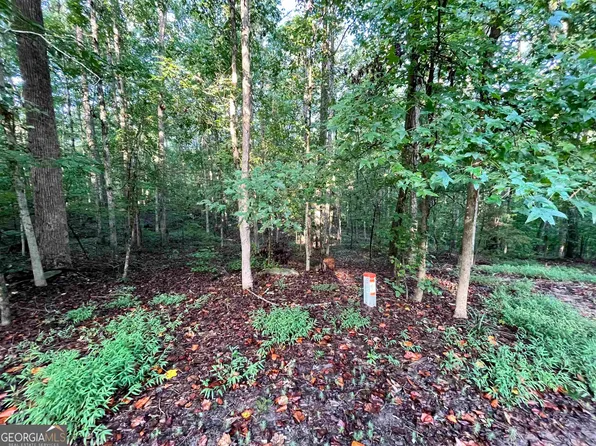 0 Wren Ct Lot 84, Monticello, GA 31064