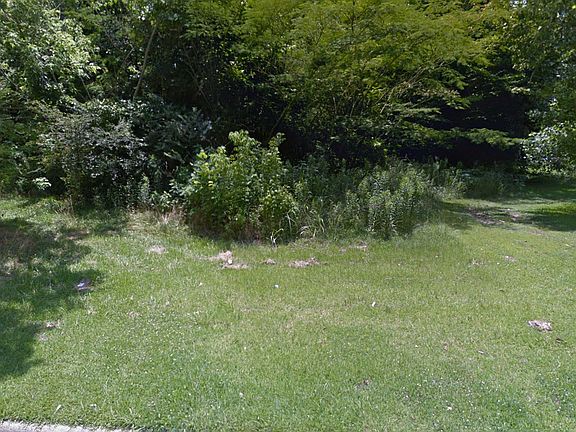 Mature wooded lot