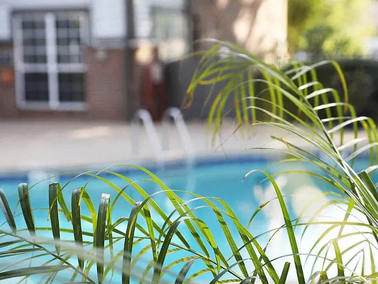 Summers just got cooler!