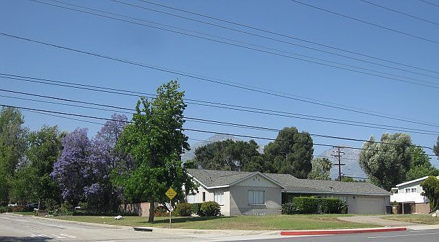 Corner Lot