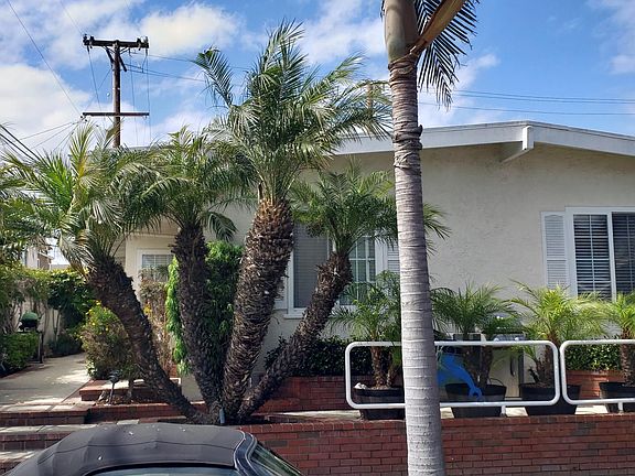 3rd image of 109 Dolphin Ave APT 1