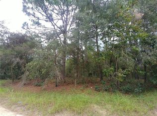 404 E Nicholas St, Hernando, FL 34442
