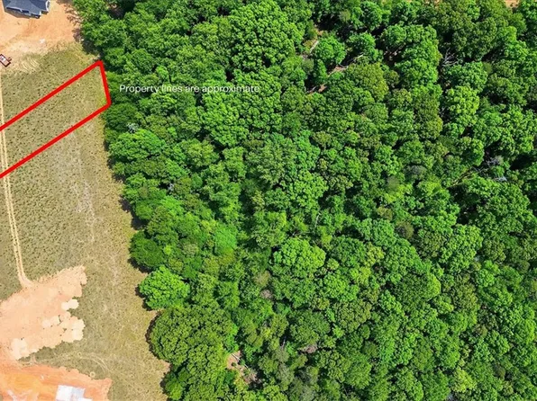 0 Paris Farm Rd, Chesnee, SC 29323