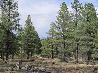 155 Monterosa Ct, Pagosa Springs, CO 81147