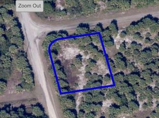 0 Sage Ave SW, Palm Bay, FL 32908