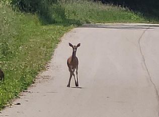 0 Bunkerhill Rd, Jackson, MI 49201