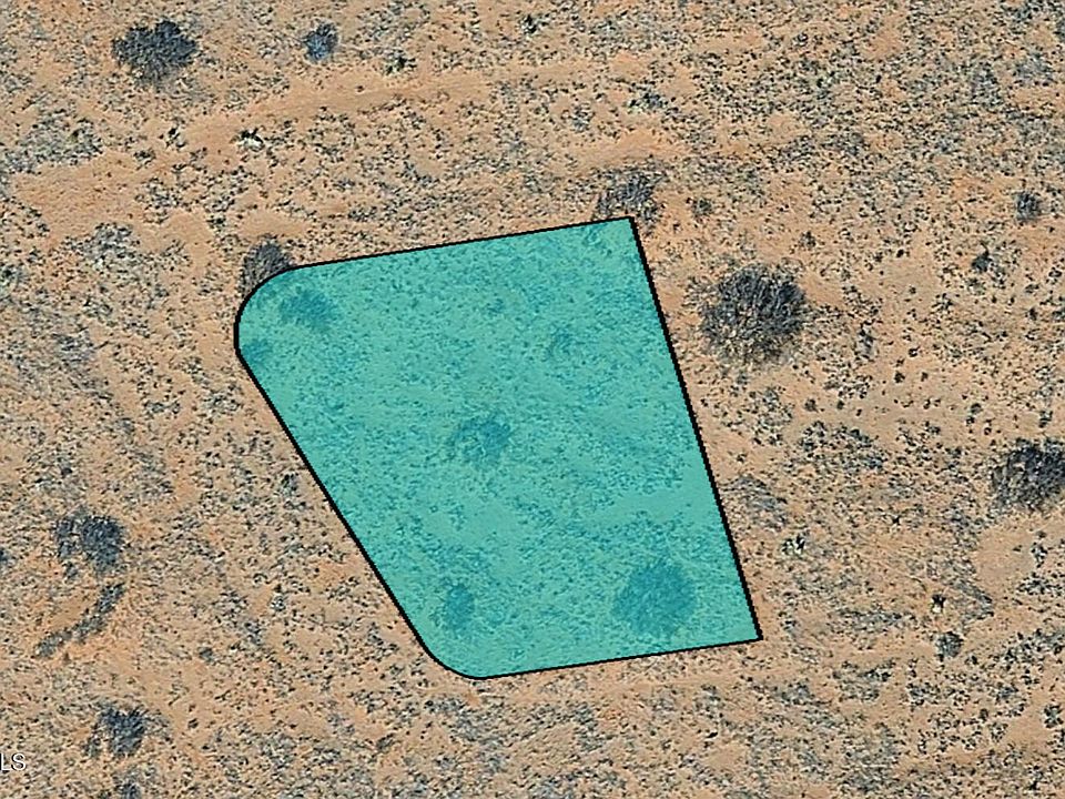 1st image of Pn 74292a Bee