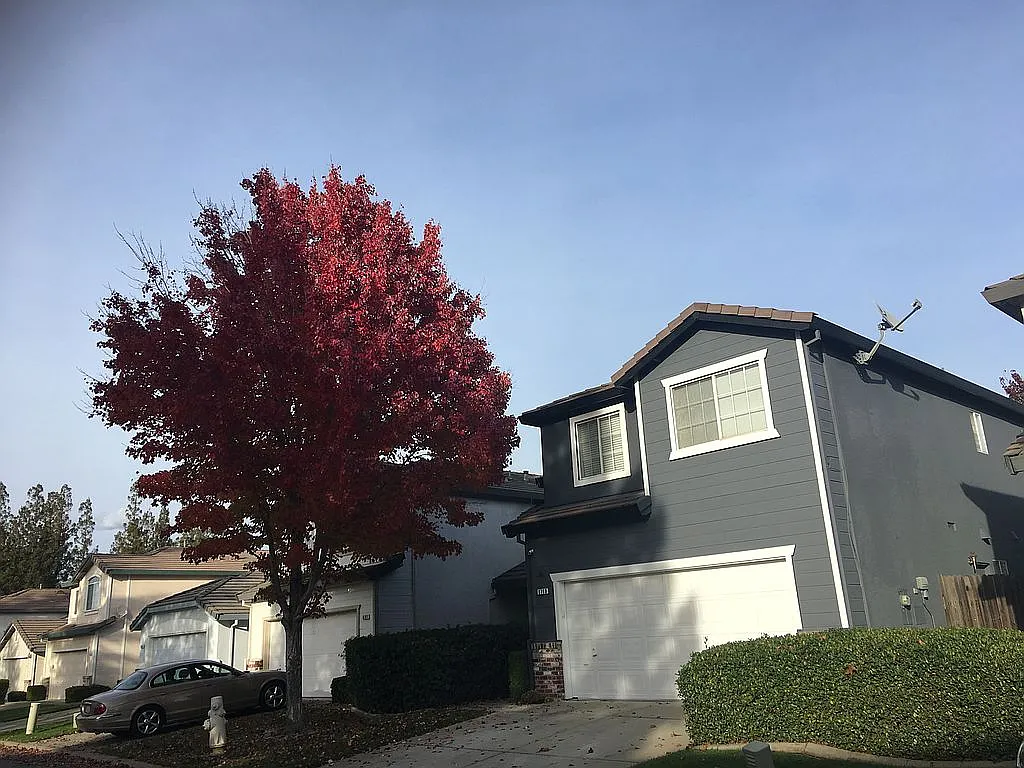 8769 White Cedar Ln photo 1