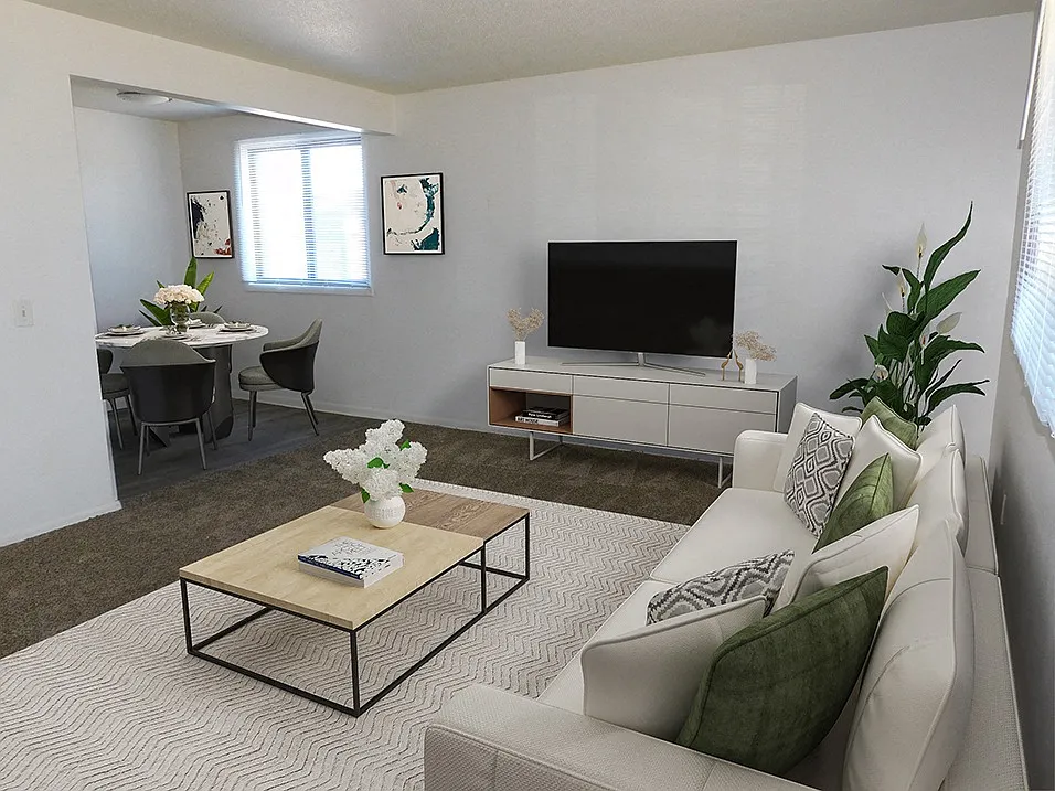 Spacious Apartment Living Room