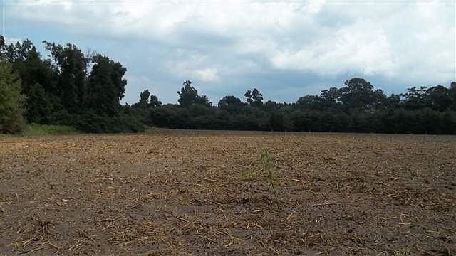 2nd image of 120 W County Line Rd.