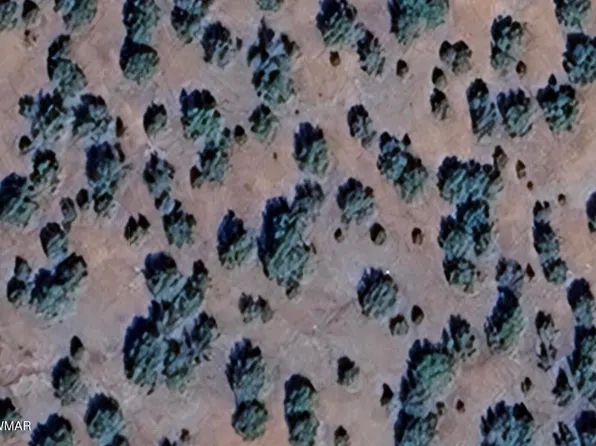 16 County Road 8136, Concho, AZ 85924