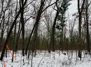 Wilke Rd PARCEL B, Fremont, MI 49412