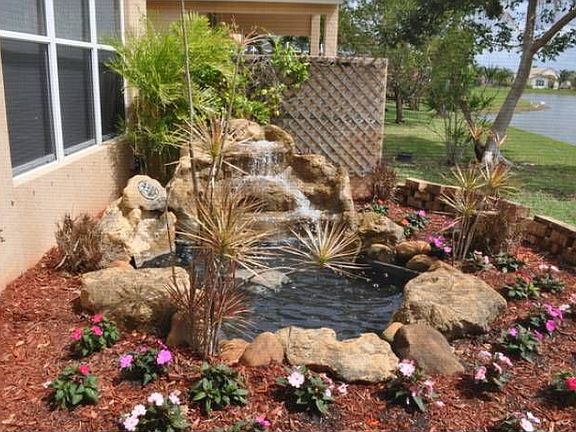 Pond