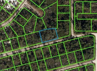 3037 Cacao Rd, Lake Placid, FL 33852