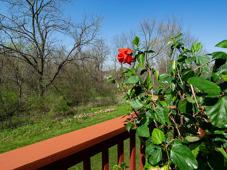366 Sedgewood Ln — Photo 59
