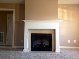 Fire Place (LR)