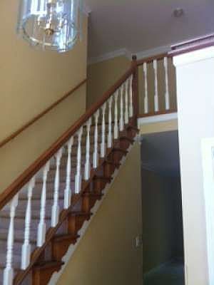 3rd image of 3507 Chinaberry Ln
