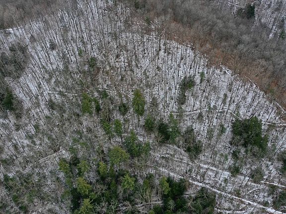 4th image of 12826 Gauley Tpke