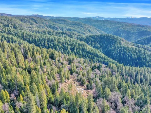 92 Long Point Trl, Cedar Ridge, CA 95924