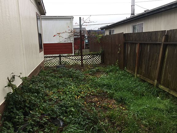 Backyard view 2