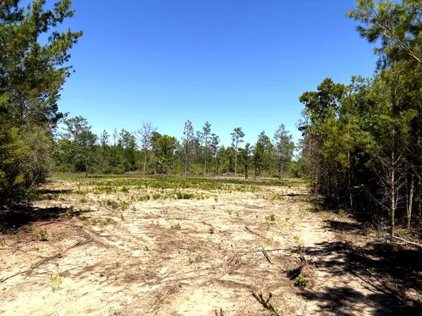 5 Northwest Cres #167, Fountain, FL 32438