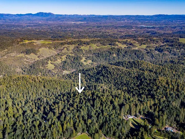 17470 Willow Creek Road, Occidental, CA 95465