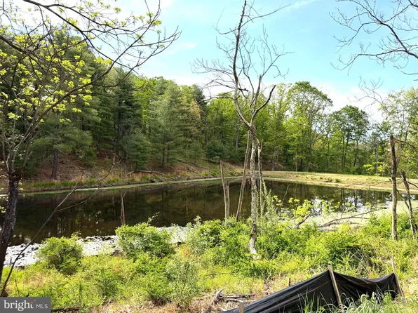 1 Crested Mountain Ln, Cross Junction, VA 22625